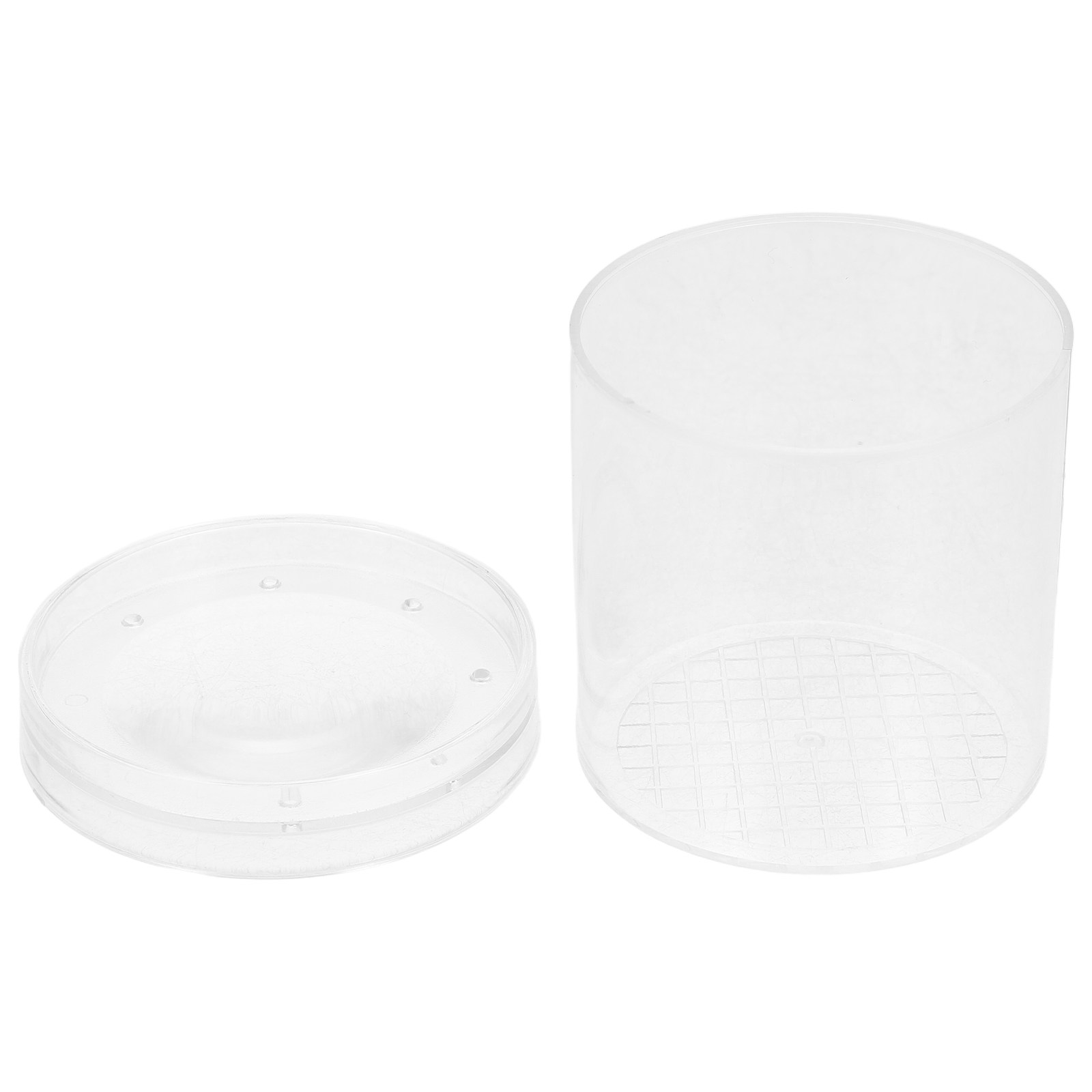Science Toy - Insect Observation Box 3X Magnifying Lens