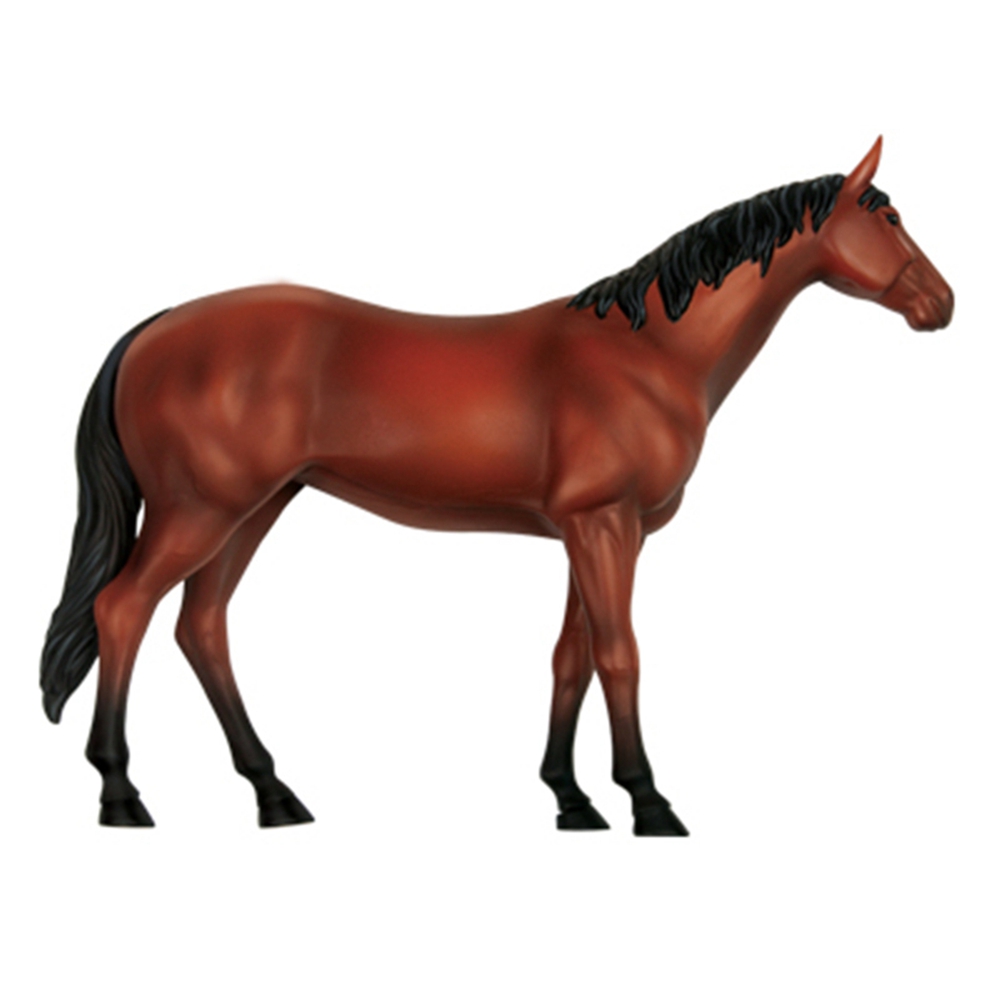 Animal Organ Anatomy Model 4D  – Science Toy recenzja i cena