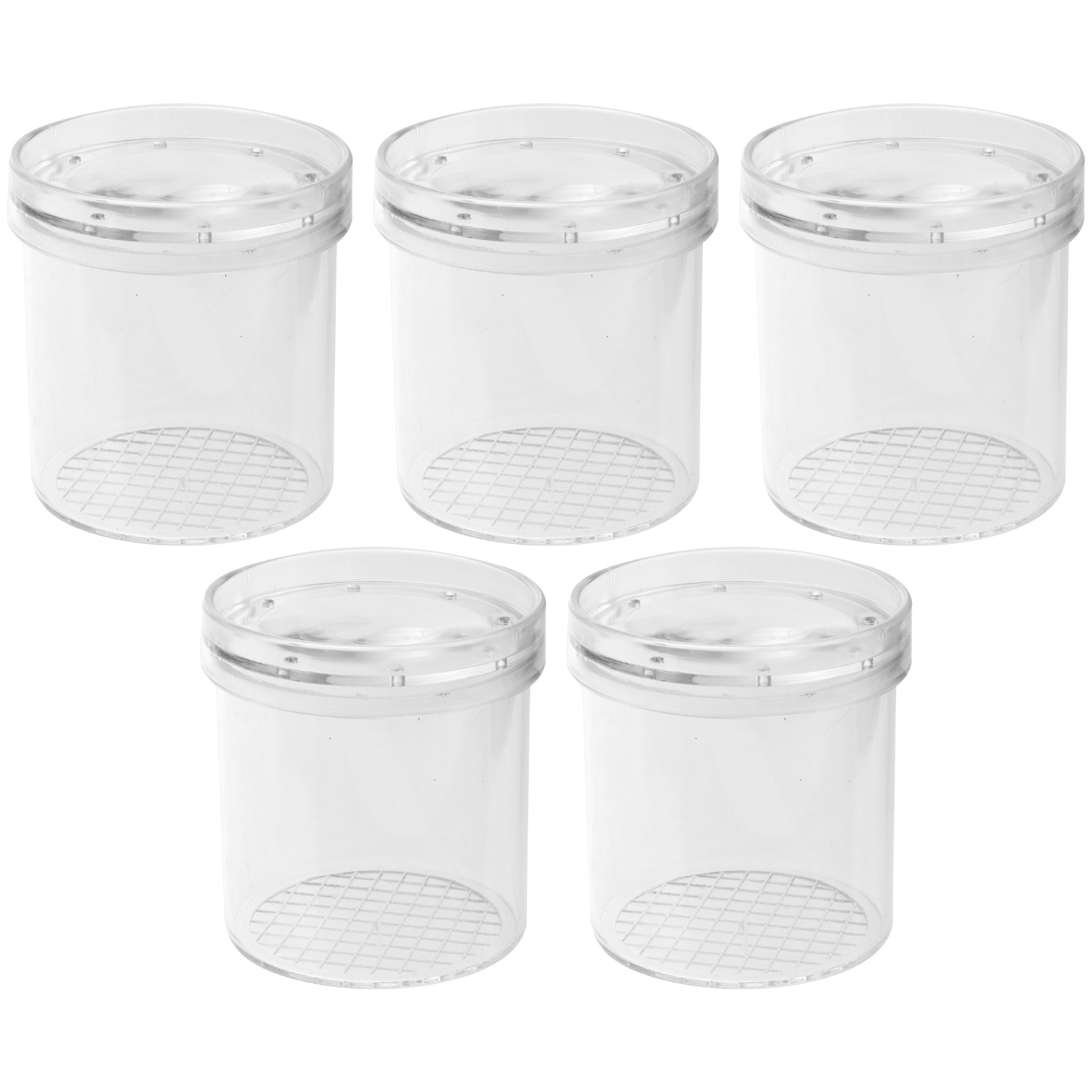 5Pcs Insect Viewer Magnifier f – Science Toy recenzja i cena