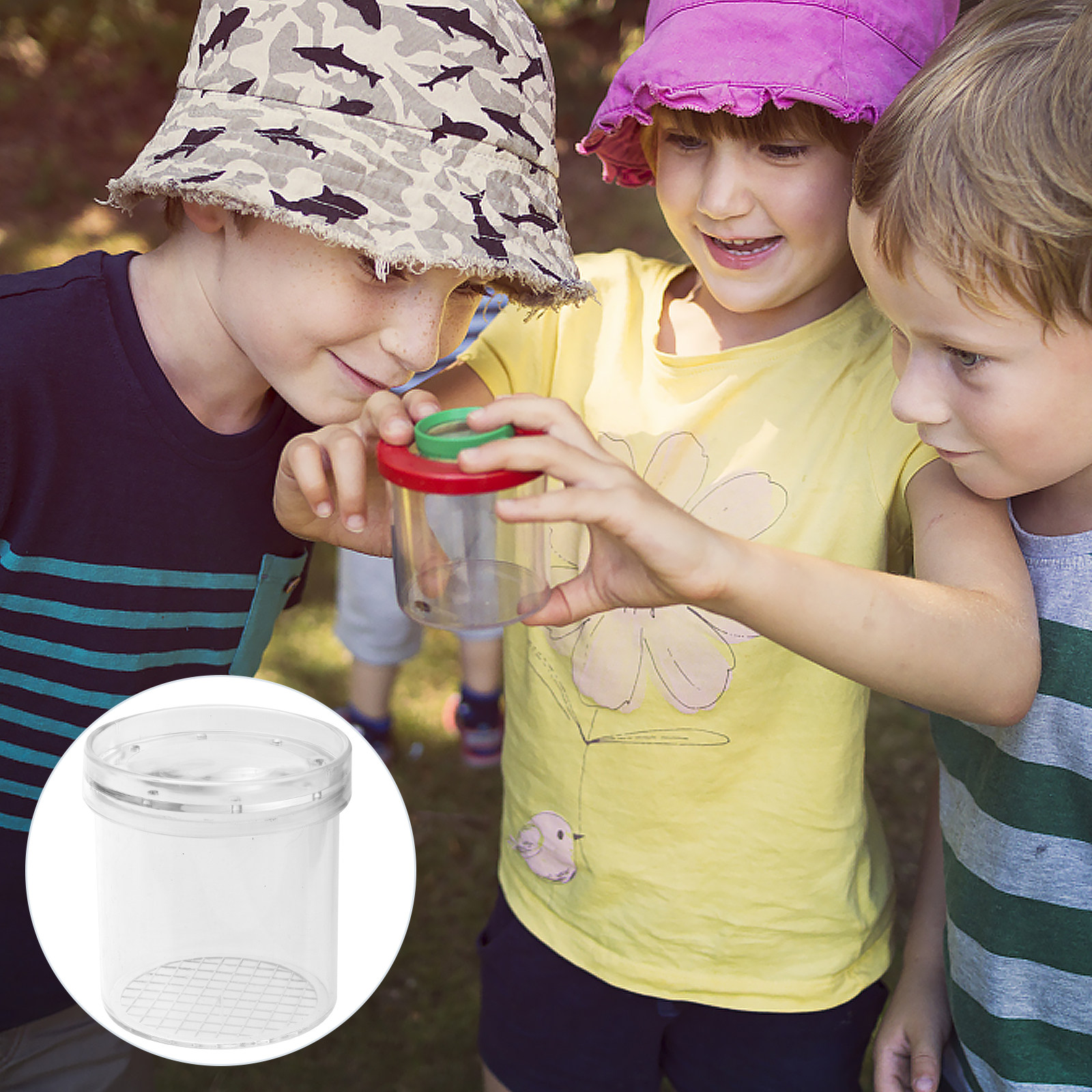 5Pcs Insect Viewer Magnifier f – Science Toy recenzja i cena