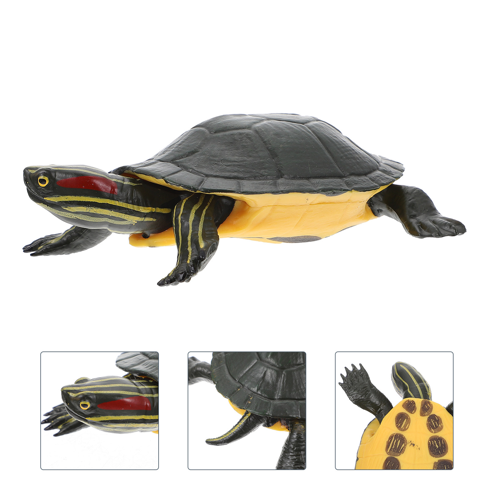 Educational Turtle Sculpture P – Science Toy recenzja i cena