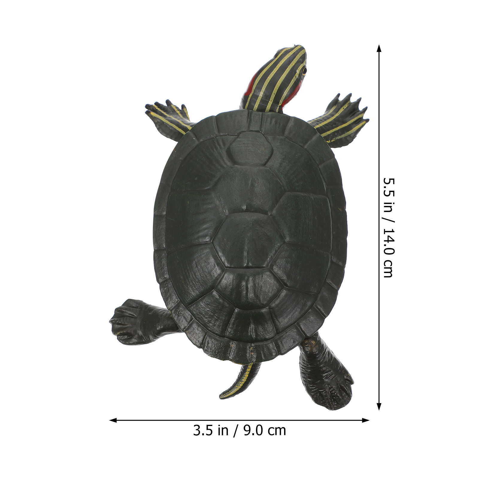 Educational Turtle Sculpture P – Science Toy recenzja i cena