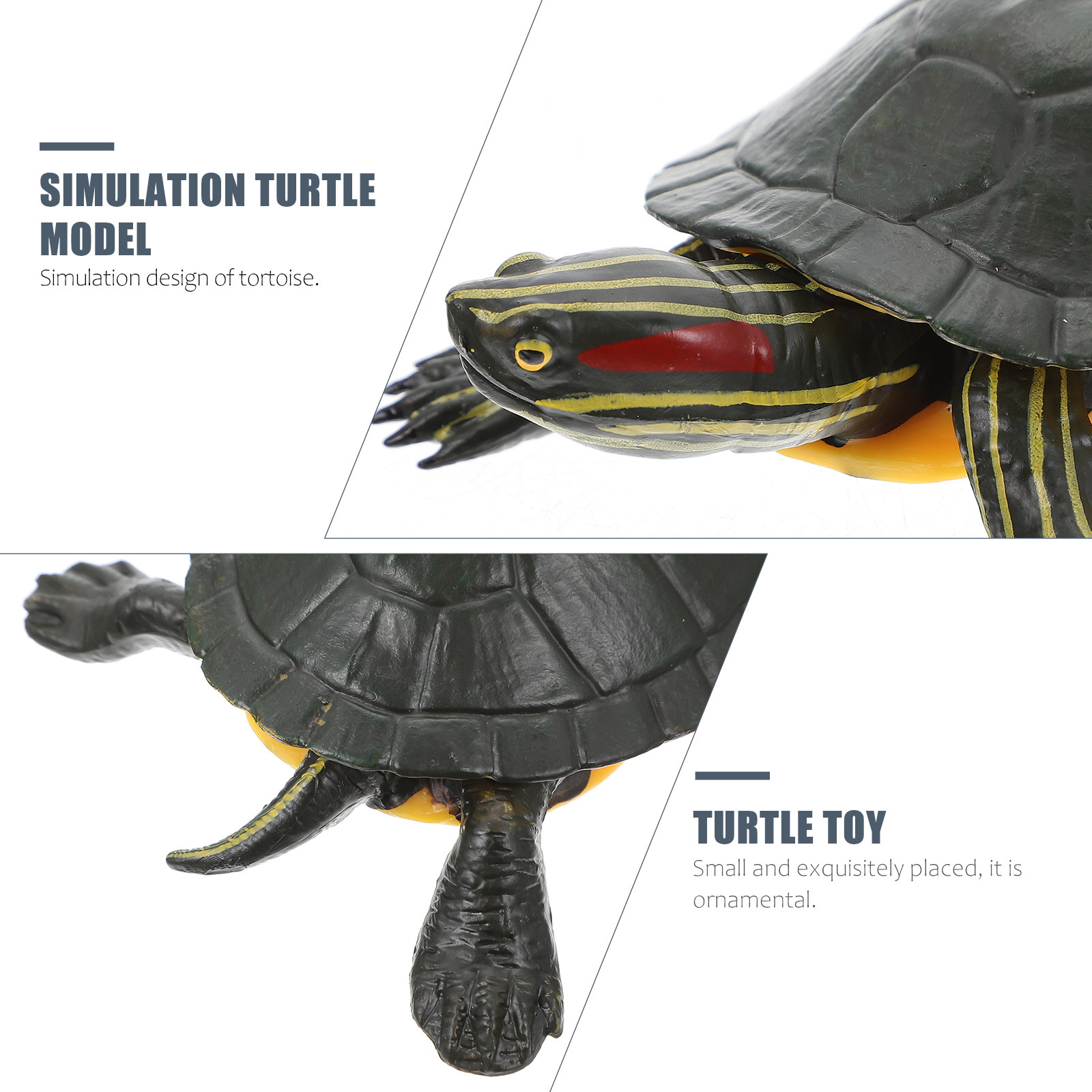 Educational Turtle Sculpture P – Science Toy recenzja i cena
