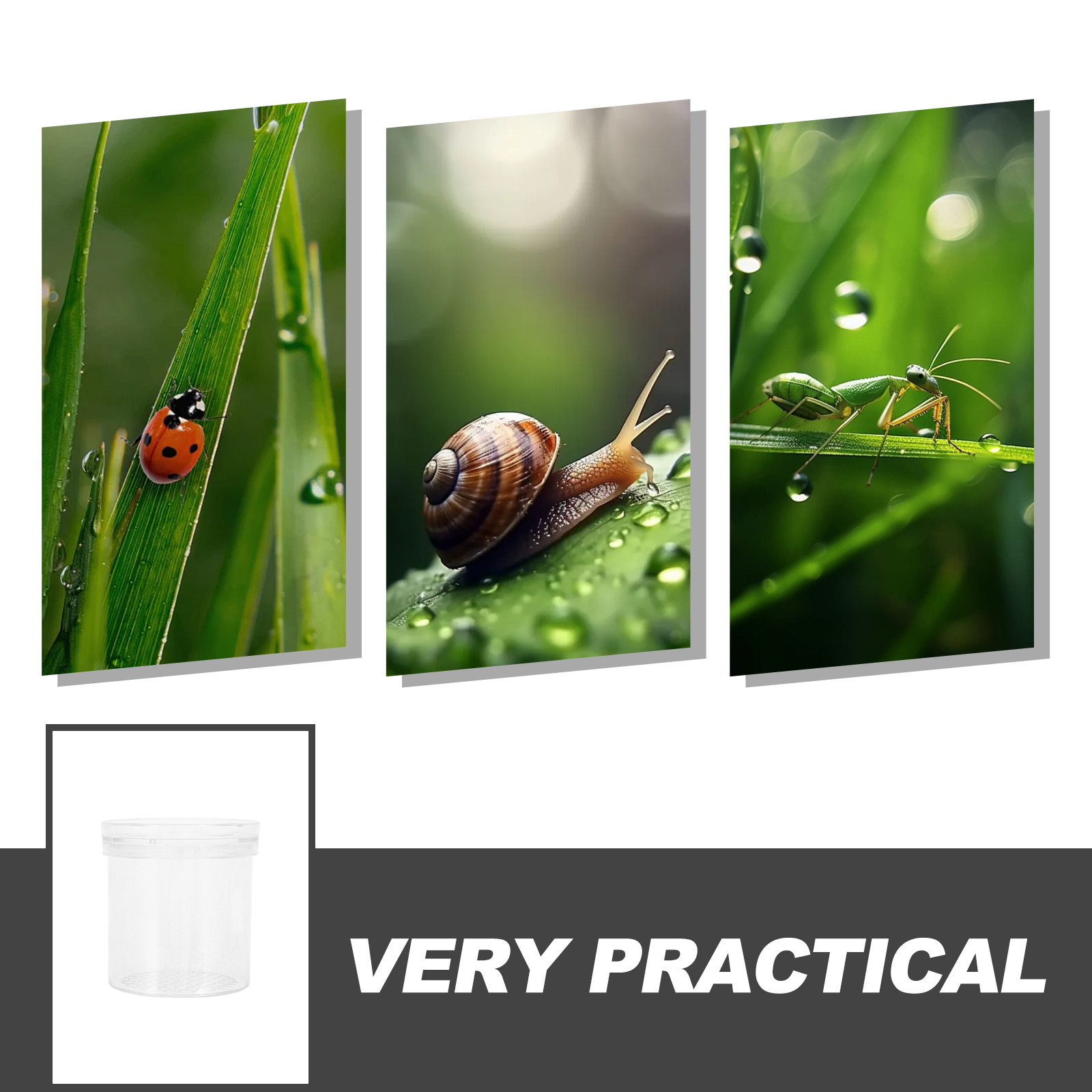 Insect Observation Box 3X Magn – Science Toy recenzja i cena