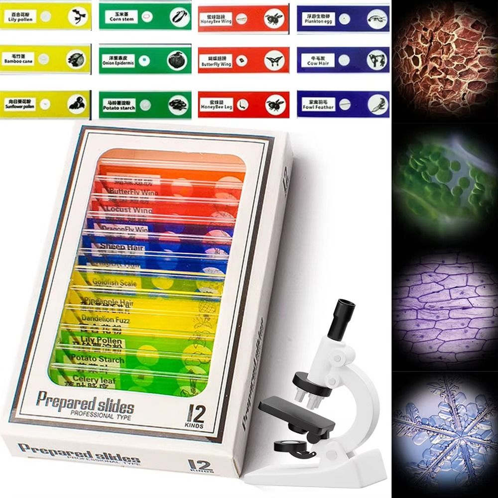 1Pcs 60-120X Pocket Microscope – Science Max recenzja i cena