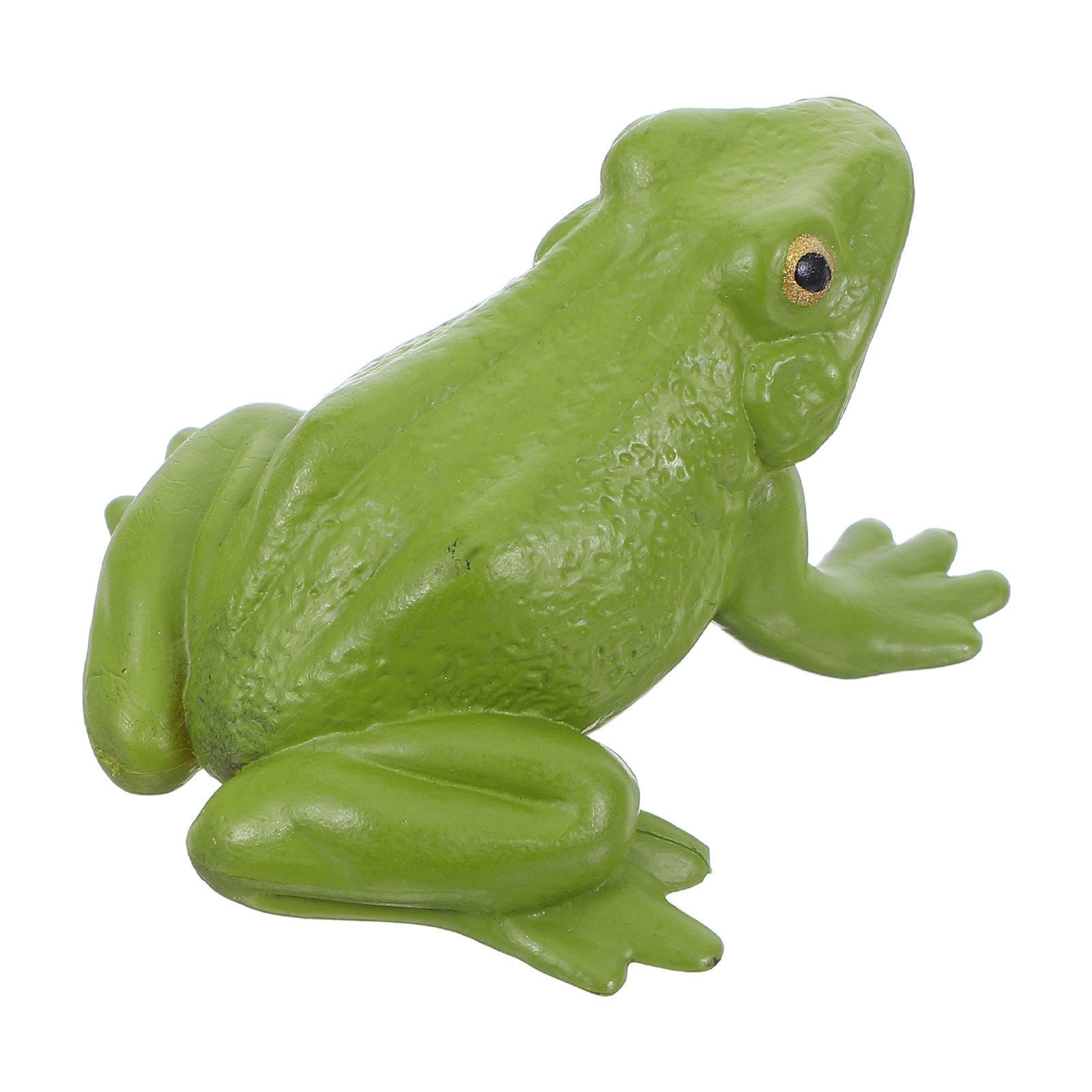Realistic Tree Frog PVC Small  – Science Toy recenzja i cena