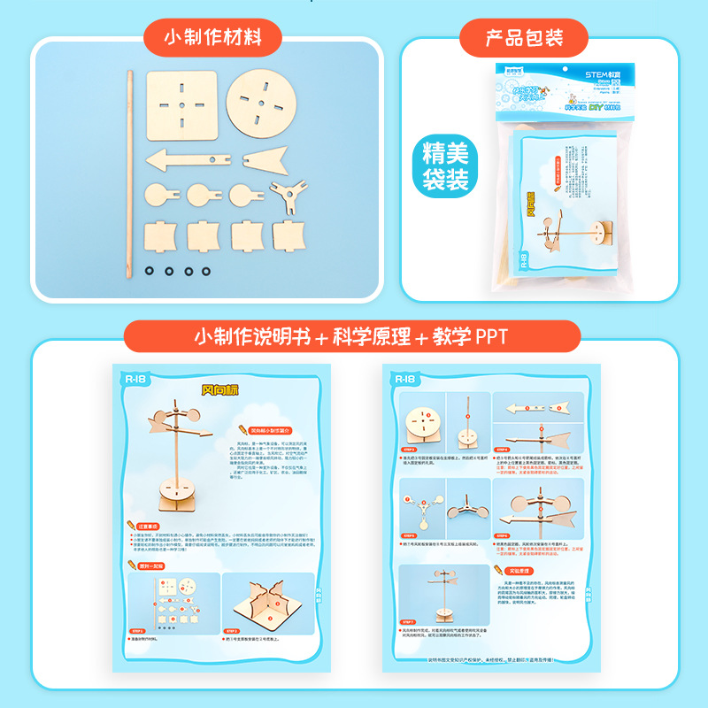 DIY FWind Vane Model Science T – Science Diy Model recenzja i cena