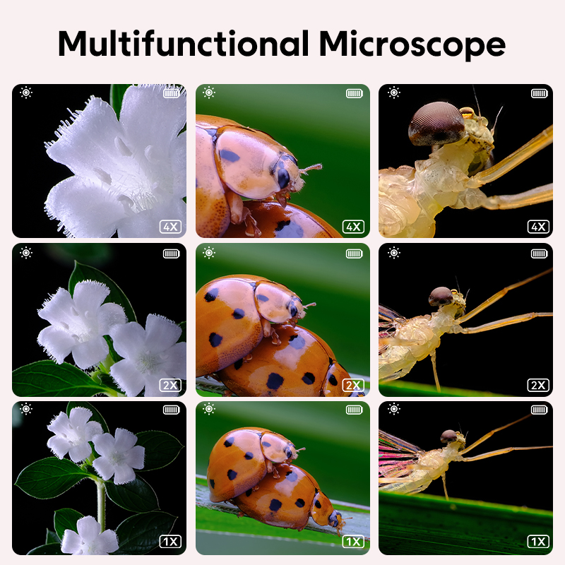 Mini Kids Optical Microscope W – Science Max recenzja i cena