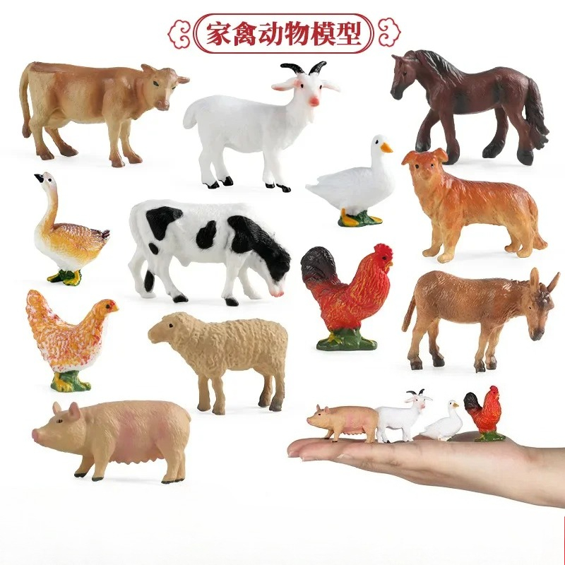 Education Teaching Tool Poultr – Science Toy recenzja i cena