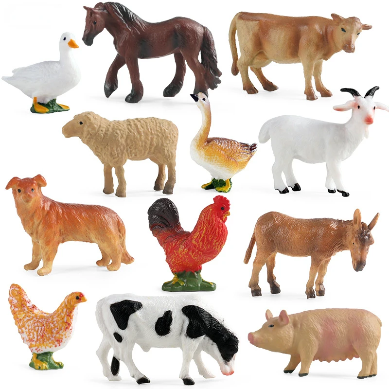 Education Teaching Tool Poultr – Science Toy recenzja i cena
